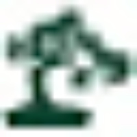 Bonsai Partners LLC logo