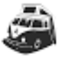 Trip In A Van