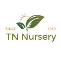 Tn Nursery