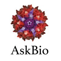 Asklepios Biopharmaceutical, Inc. (Askbio)