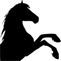 Darkhorse Advisor