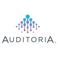 Auditoria.Ai