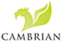 Cambrian Solutions, Inc.
