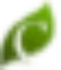 Crescens Inc.