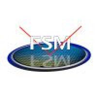 Frontier Semiconductor (FSM) logo