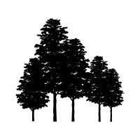 Five Elms Capital logo