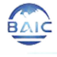 Baic-Group.Com