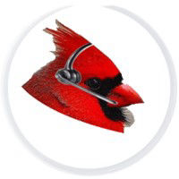 Cardinal Rule Academy