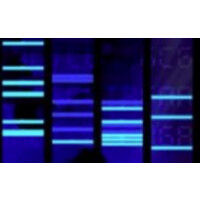 LifeScienceAudio.com