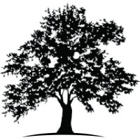 White Oak Global Advisors, LLC