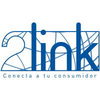 2link mercadotecnia y tecnología para tu negocio