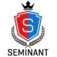 Seminant Solutions Limited