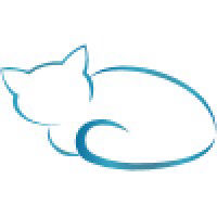 Creative Cats