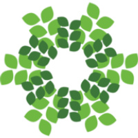 Rainforest Distribution