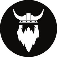 PartyVikings