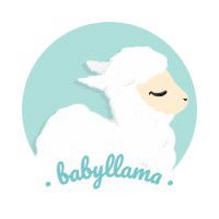 Babyllama