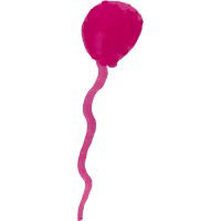 Noah's Pink Balloon Leukaemia Fund