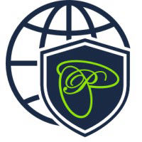 Pugnax Business Consulting logo
