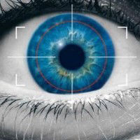 Security And Electronic Solutions Ltd.