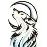 Above Alpha Solutions