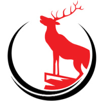 Stag Electrical