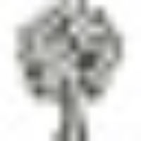 FRUIT GOURMET logo