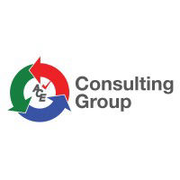ACE Consulting Group logo