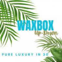 Brazilian Wax Goddess / Waxbox.ca - Waxing, Lashes & Microblading