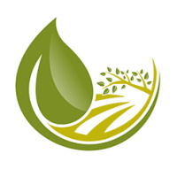 Ottawa Tree Removal Services Russel & Embrun 613-869-5324
