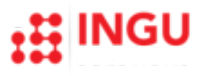 Ingu Solutions Inc