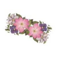 Jensen Nursery & Garden Centre logo