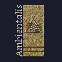 Ambientalis Análises De Ambientes Ltda