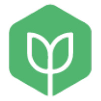 Branch Marketing