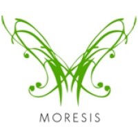 MP MORESIS SL
