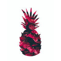 Catering Anmama logo