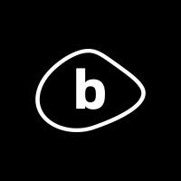 BLACK EXECUTIVE AVIATION