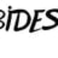 bidestekal.com