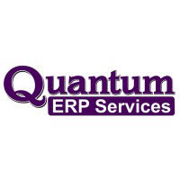 Quantum ERP Services Ltd logo