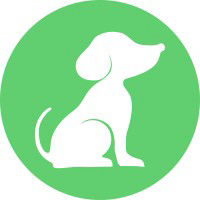 DOT Academy