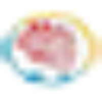 Datasys Consulting And Software Inc.