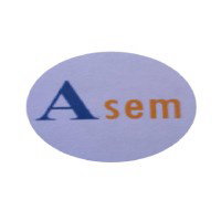 Asem Technology Sdn Bhd