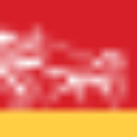 Pakistan Observer logo