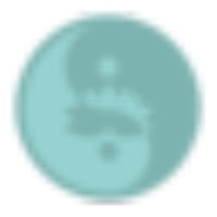 Jenna Robins BSc (Hons) TCM Acupuncture logo