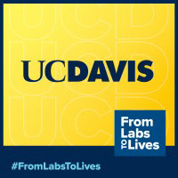 University Of California, Davis