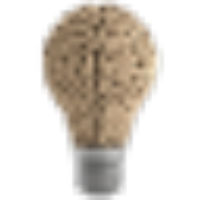 CodingBrains Software Solutions Pvt. Ltd