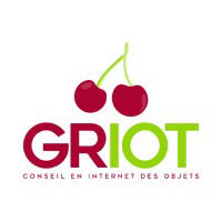 GRIOT Conseil