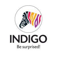 Indigo Paints Limited