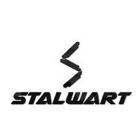Stalwart Alloys India Limited