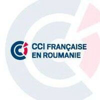 French Chamber Of Commerce In Romania (Ccifer)
