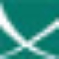 Diw Berlin - German Institute For Economic Research